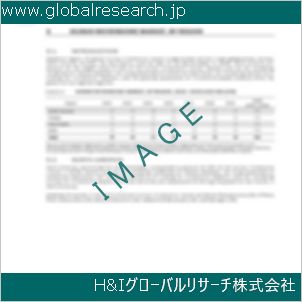 グローバルリサーチ調査資料のイメージ